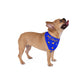 Colombia Pride Boy Pet Bandana