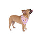 Colombia Pride Girl Pet Bandana